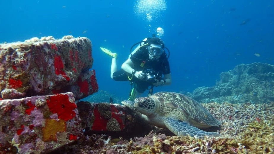 tempat diving di Lombok