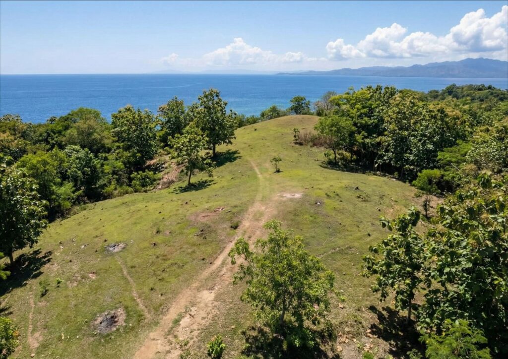 bukit di pantai tebing lombok utara