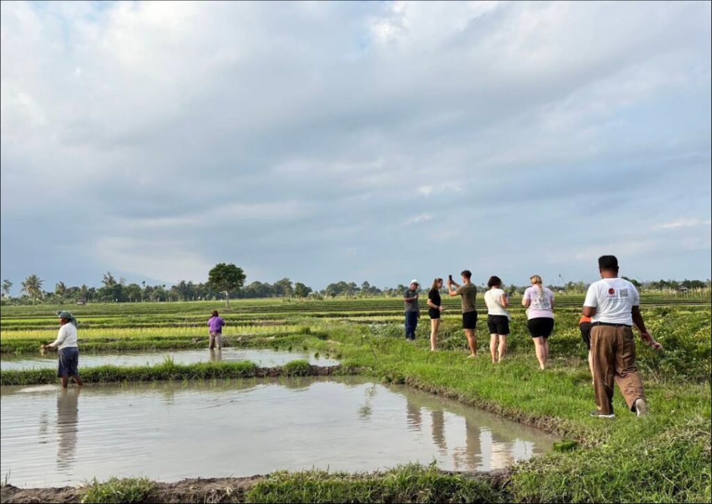 desa wisata hijau bilebante