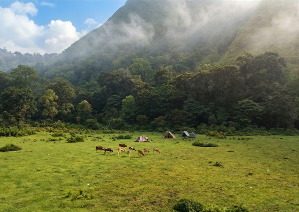 wisata alam savanna dandaun