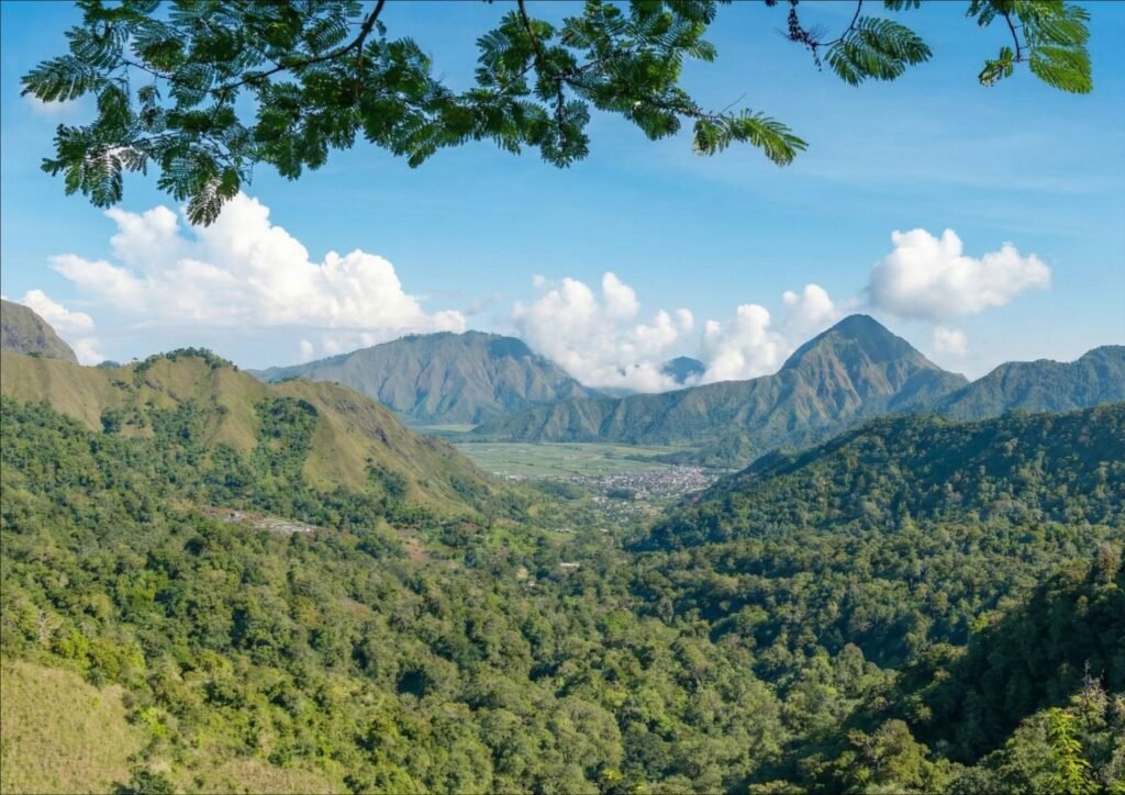 View Taman Wisata Pusuk Sembalun