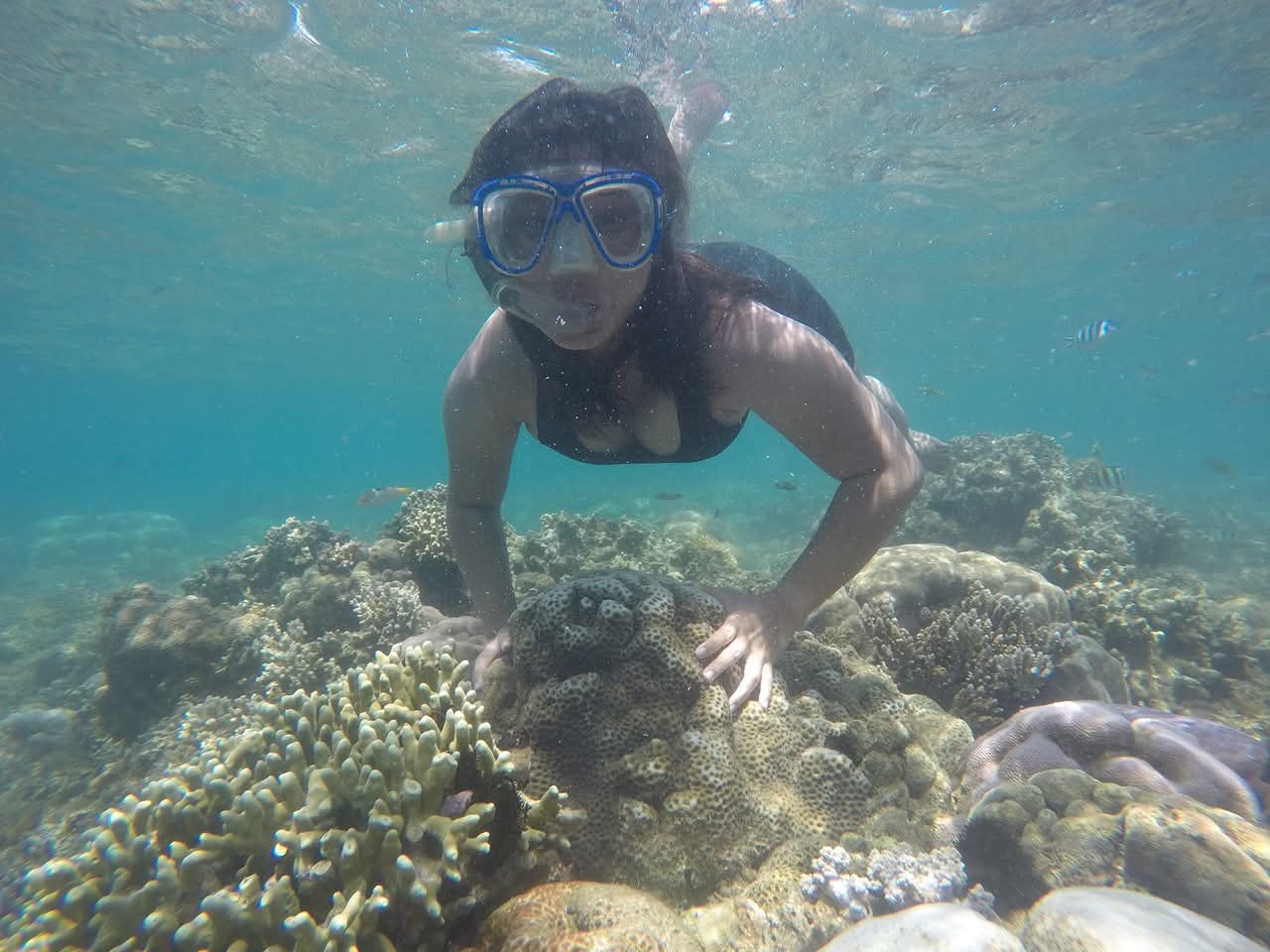 DCIM100GOPROGOPR0071.