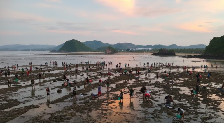 tradisi bau nyale berasal dari
