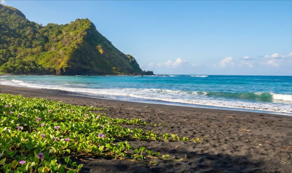 View Pesisir Paretan Beach sekotong
